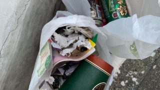 日々のクリーンナップ